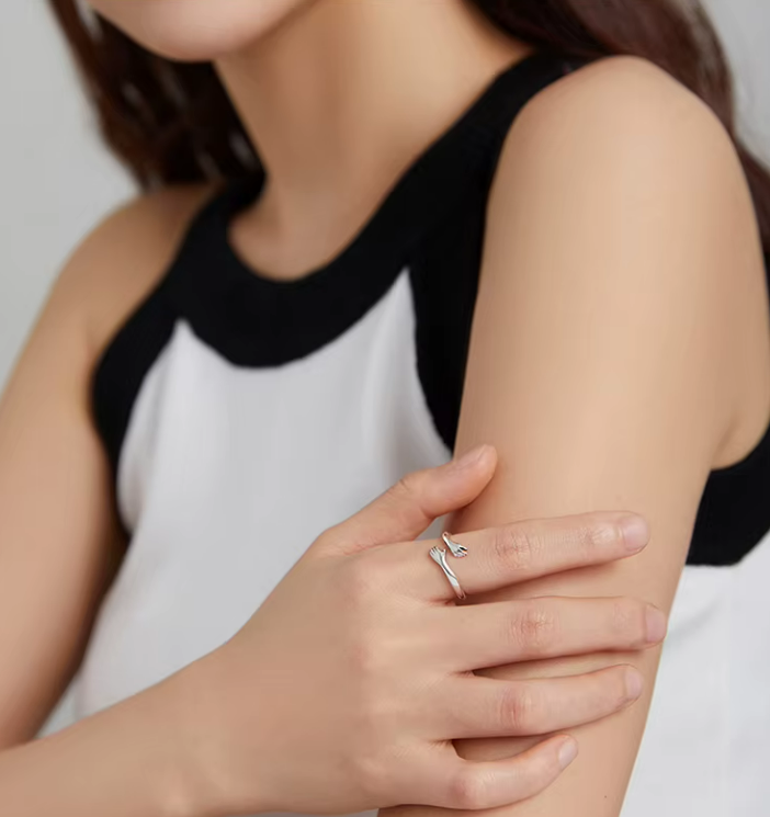 Anillo Abrazo